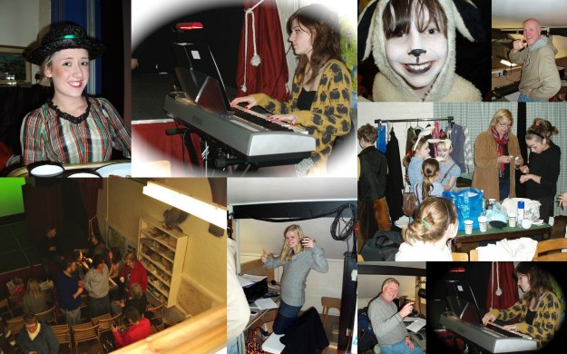 Toad back and front and top