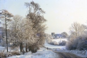 Horley Clare Marchant Vol 2