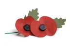 poppy-appeal