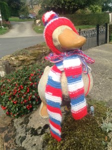 Untitled_21486324293_l